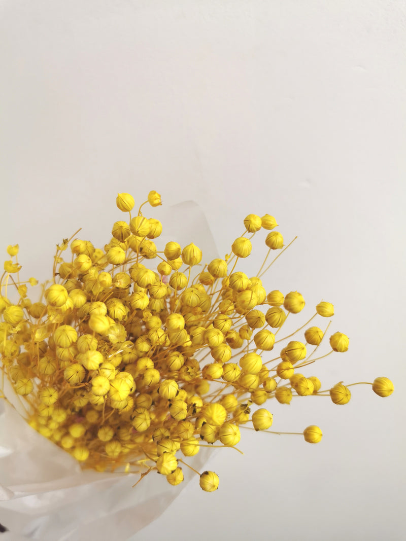 Flax Yellow Dried Flower Bunch (Linum)