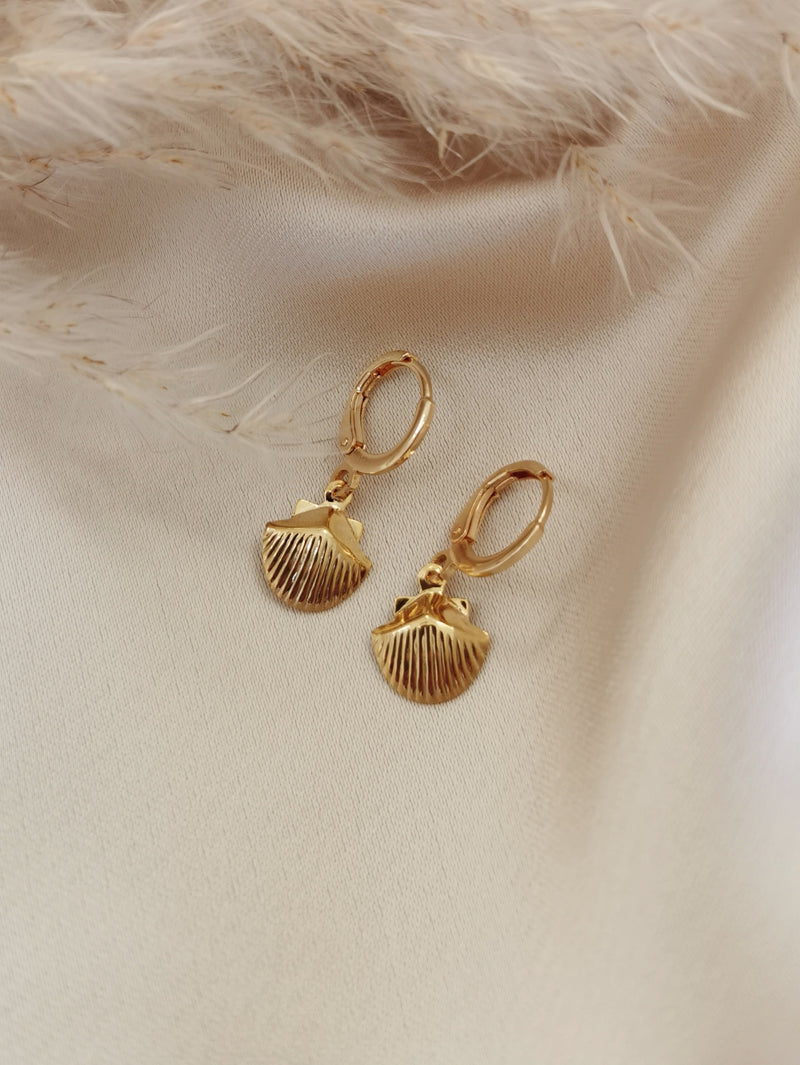 Clam Shell - 14k Gold Plated Huggie earrings